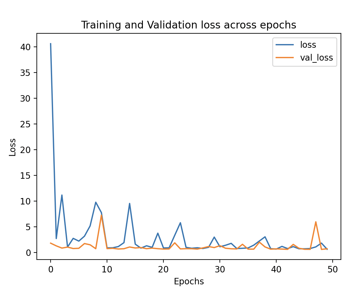 Model's training and validation loss.